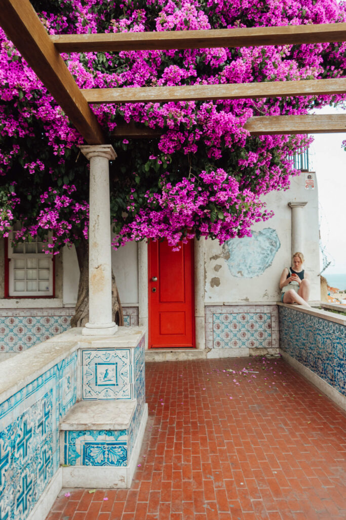 Bougainvillea and tiled walls of Miradouro de Santa Luzia