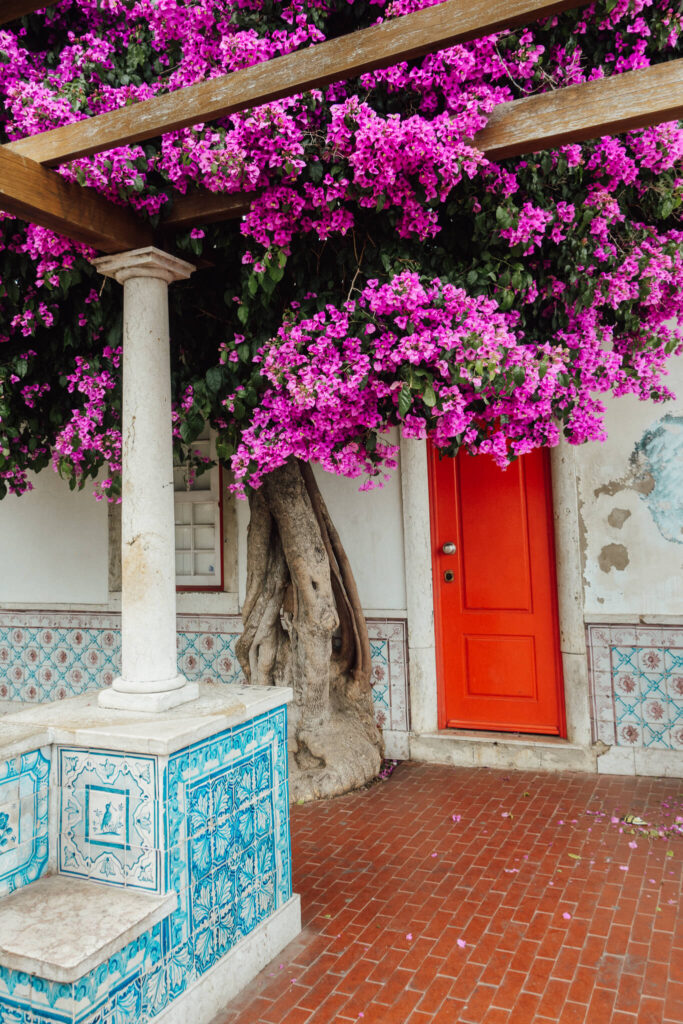 Bougainvillea and tiled walls of Miradouro de Santa Luzia