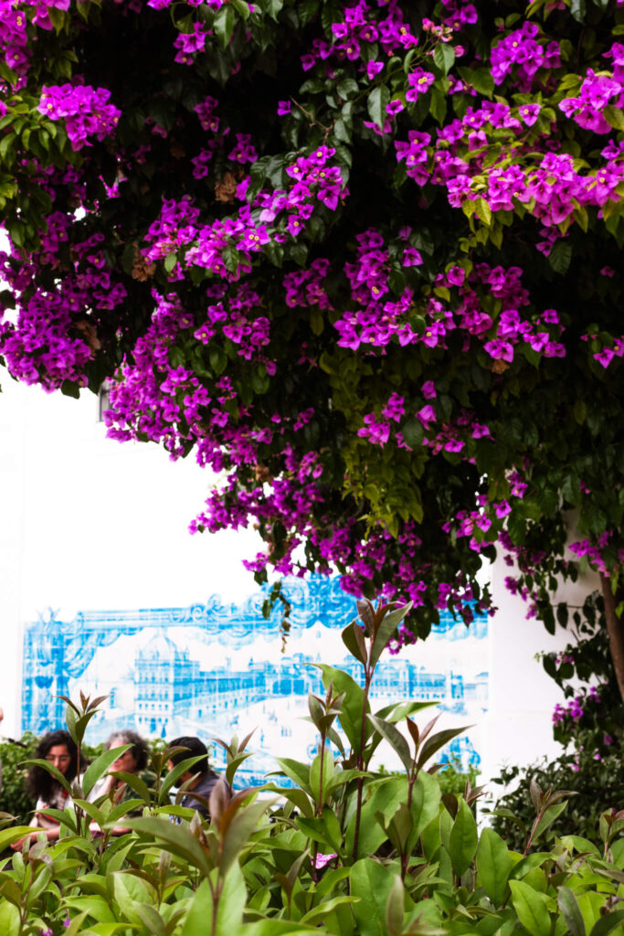 Bougainvillea and tiles at Miradouro de Santa Luzia