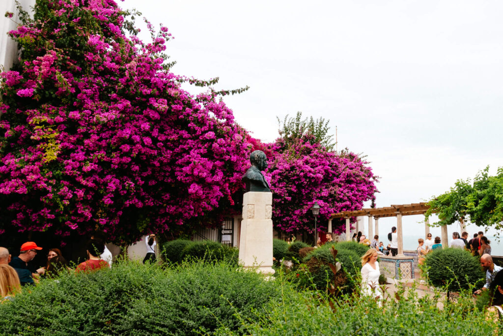 Bougainvillea and viewpoint at Miradouro de Santa Luzia