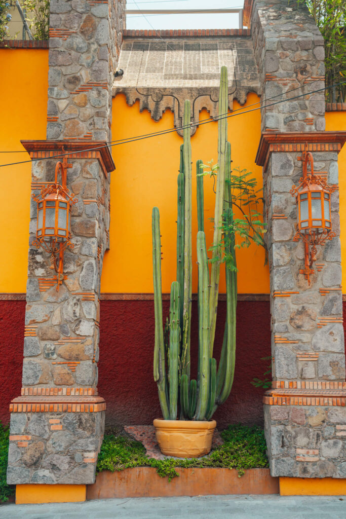 Colorful building and cactus